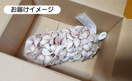 にんにく 乾燥にんにく 1kg 