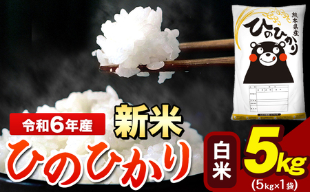 令和6年産 新米 早期先行予約受付中 ひのひかり 白米 5kg 《11月-12月より出荷予定》 5kg×1袋 熊本県産（荒尾市産含む） 米 精米 ひの 