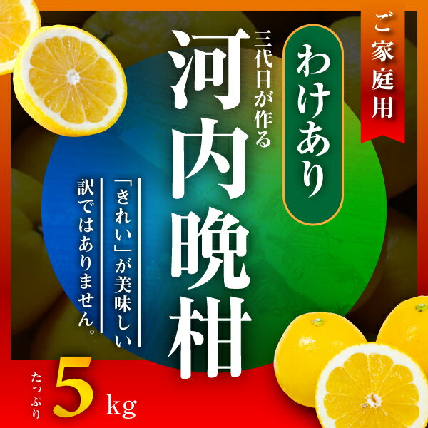 【ふるさと納税】河内晩柑5kg【訳あり】【A31-50】_【配送不可地域：離島】【1613967】 YWTAC039