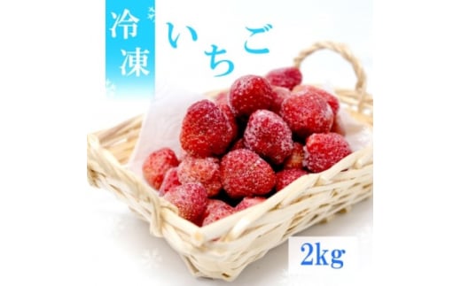 いちご 白木のいちご 旬のおいしさそのまま 冷凍いちご (品種混合) 2kg イチゴ 苺 果物 デザート ※配送不可：沖縄・離島