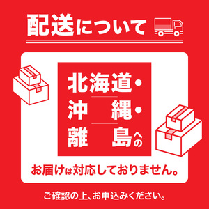 博多和牛　ヒレステーキ　100ｇ×5枚（500g）_博多和牛 ヒレステーキ 100g × 5P 計 500g 国産 牛肉 希少部位 脂身 少ない 赤身肉 きめが細かい 柔らかい 肉質 誕生日 記念日 