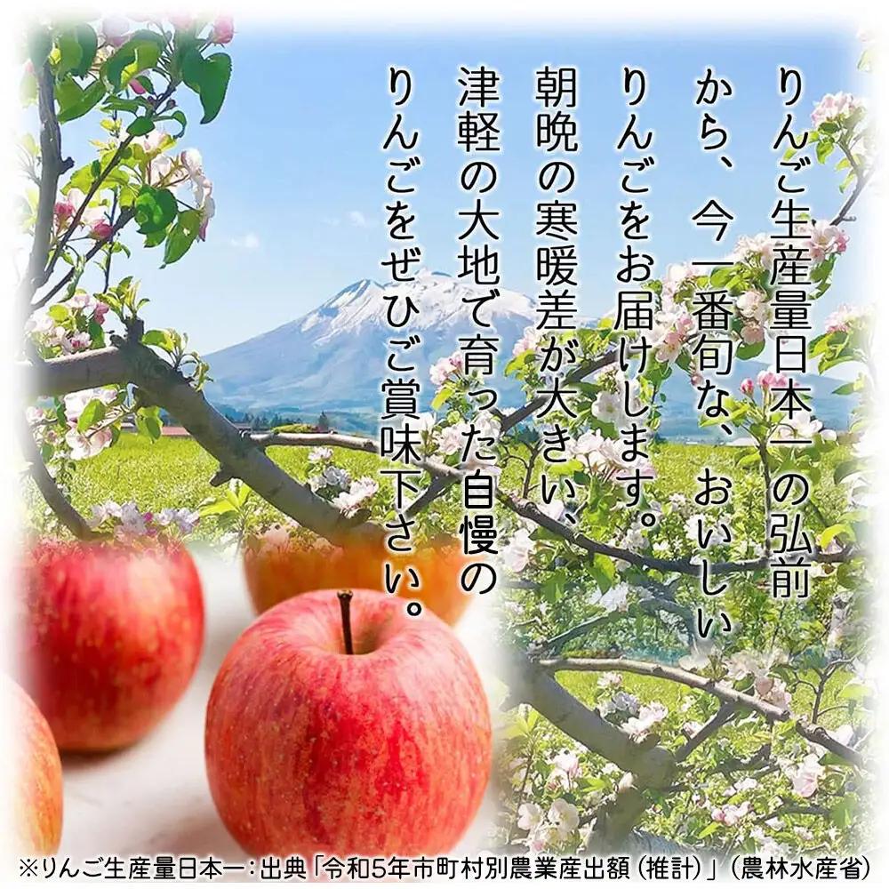 【26年12月下旬～発送】りんご サンふじ【贈答用】約10kg 内のし付き 青森県 弘前市