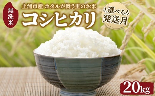 【2月発送】令和7年産 土浦市産 コシヒカリ 無洗米20kg（5kg×4） ホタルが舞う里のお米 ※離島への配送不可