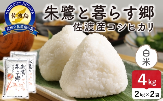 令和8年産 佐渡島産 朱鷺と暮らす郷 白米4kg 特別栽培米 | 新潟県産コシヒカリ 佐渡産コシヒカリ 朱鷺と暮らす郷 朱鷺認証米 特別栽培米 お米 米 白米 精米 おこめ コメ 4キロ にいがた さど 新潟県 佐渡市 195962-091202