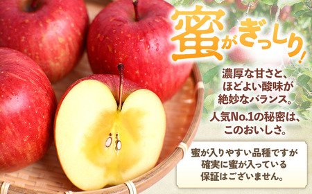 青森県産りんご サンふじ 約5kg 2026年1月中旬～ りんご