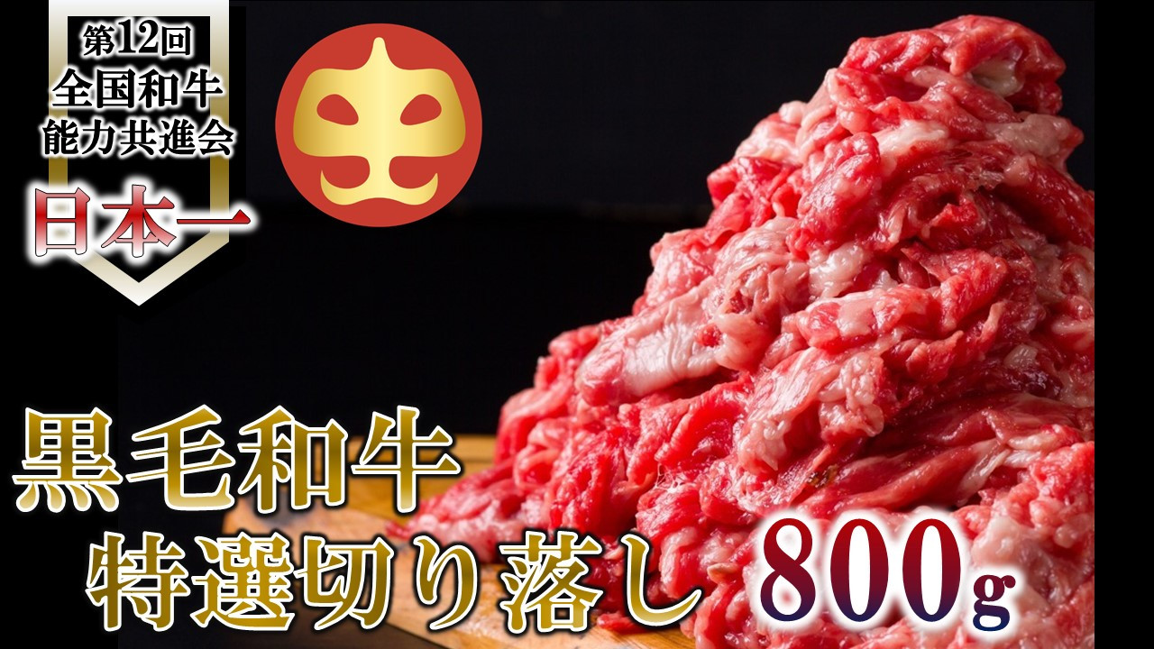 
【うしの中山】 黒毛和牛 切り落とし 800g
