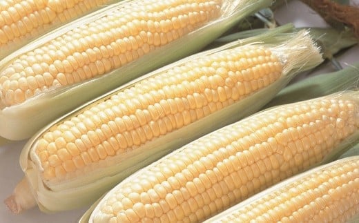 ［先行受付］おとふけの味覚セット(4回コース)【L11】