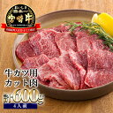 【ふるさと納税】日本一美味しいブランド牛「宮崎牛」の牛かつカット肉セット 600g 内閣総理大臣賞4回連続受賞 簡単調理 簡単料理 クール便 新鮮 ギフト 小分け 真空パック 送料無料 黒毛和牛 赤身肉 霜降り 牛肉 お肉 高原町 宮崎県 故郷 納税 20000円 2万円