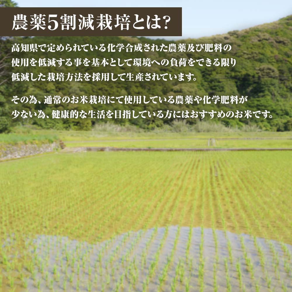 【令和８年産】新米　玄米 コシヒカリ 5キロ お米 おこめ  ごはん 飯 こしひかり ブランド米 農薬5割減栽培 おいしい 国産 土佐清水産 送料無料 高知県 土佐清水市 故郷納税 返礼品 高知【R01598】