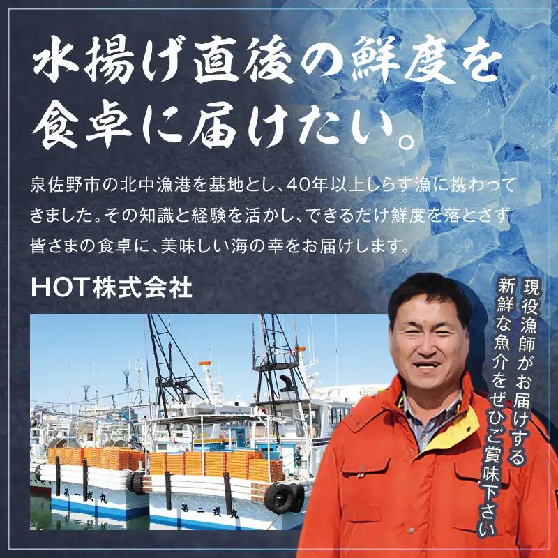  【訳あり】サーモン カマ 1kg（約20-25切れ）