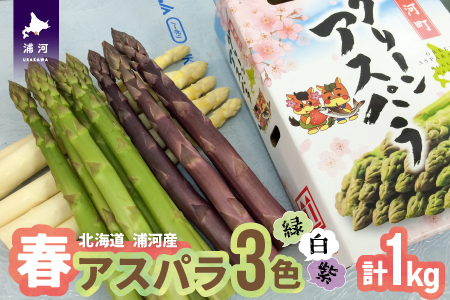 【4月上旬頃より発送！】北海道浦河産 アスパラガス3色食べ比べセット(1kg)[03-133]