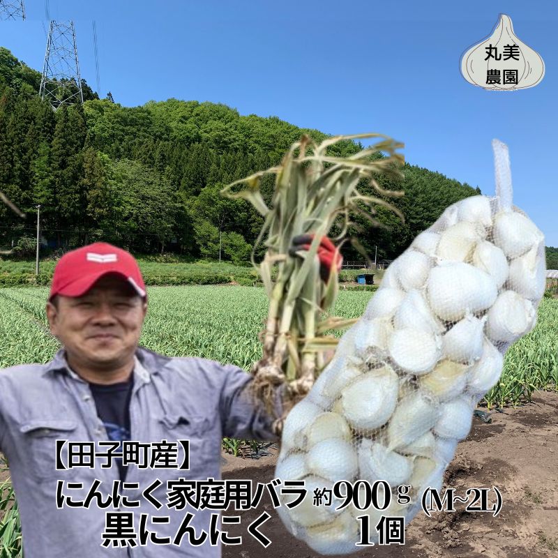 【ふるさと納税】丸美農園 田子産にんにく家庭用バラ 約900g（M〜2L）＋黒にんにく 1個　薬味・ニンニク・青森県産　お届け：8月1日〜3月31日まで