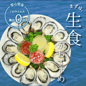 先行予約 あまべ牡蠣 22個 牡蠣 シングルシード 生食用 殻付き かき カキ オイスター 生ガキ 生牡蠣 生がき 生かき ギフト 貝 旨味 【2024年12月発送】