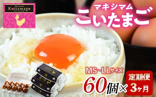 【TVで話題沸騰！】3か月定期便！とにかく黄身が濃いたまご「マキシマムこいたまご」60個入り 伊達市 福島県 国産 MS～LLサイズ 卵 たまご 玉子 生卵 鶏卵 F21C-493