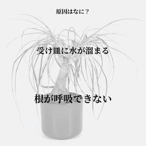 根腐れを防ぐポットスタンド ブラック 置き・掛け兼用 3号鉢タイプ キープロダクション ポットスタンド