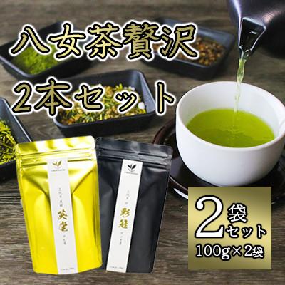 ふるさと納税 八女市 八女茶贅沢2本セット(100g×2袋)