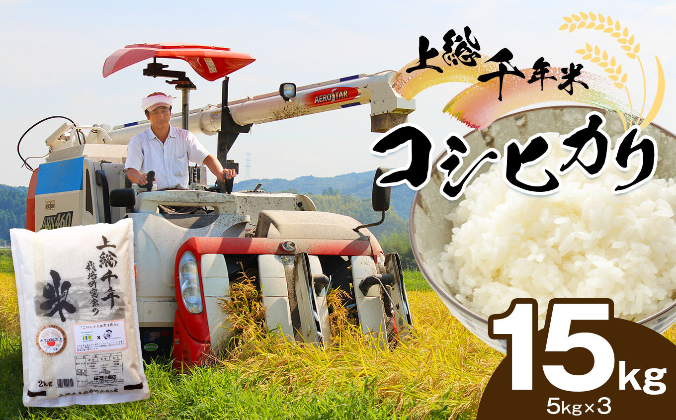 
                  令和7年産 上総千年米 コシヒカリ 精米 15kg ｜米 お米 こしひかり ブランド米 単一米 大粒 甘み 粘りおにぎり お弁当 朝食 石川商店｜千葉県 君津市 
                