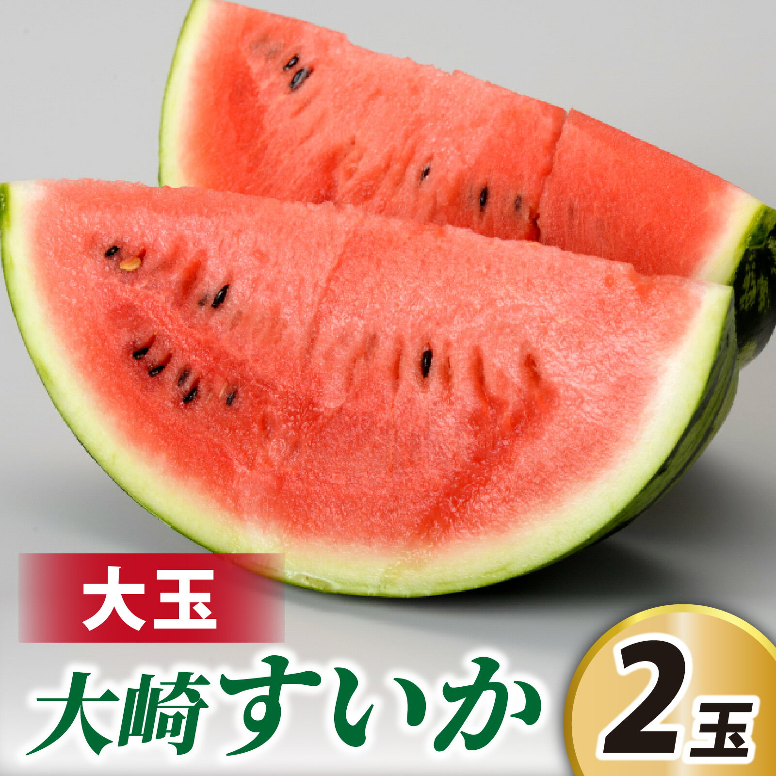 【ふるさと納税】【能登半島地震復興支援】大崎すいか1箱（大2玉入り）＜2025年収穫分　先行予約＞