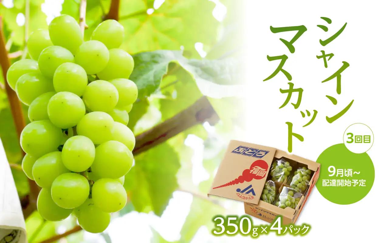 【先行受付】福岡ぶどう定期便【全3回】【JAふくおか】ぶどう食べ比べ便 各1.4kg（種なし巨峰、ピオーネ、シャインマスカット） 002-T002