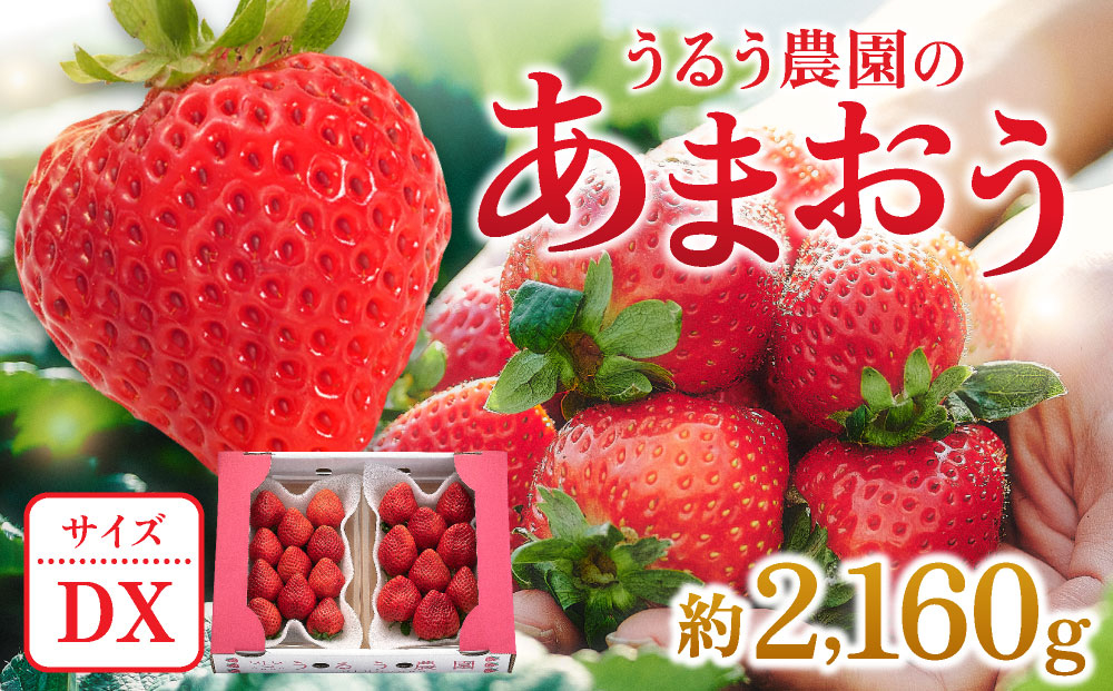 【2027年3月～4月発送】うるう農園のあまおうDX 約250g～270g×8P(約2160g) あまおうDX 約250g～270g×8P(約2160g)