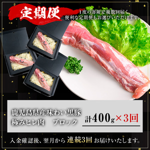 ＜定期便・全3回＞ かごしま 味わい 黒豚 極み ヒレ (計1.2kg/400g×3回) 豚肉 【KNOT】 T59
