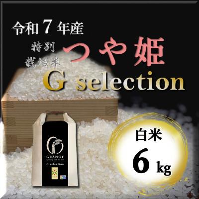 ふるさと納税 鶴岡市 【令和7年産】山形県鶴岡産 Gセレクション つや姫 白米 6kg
