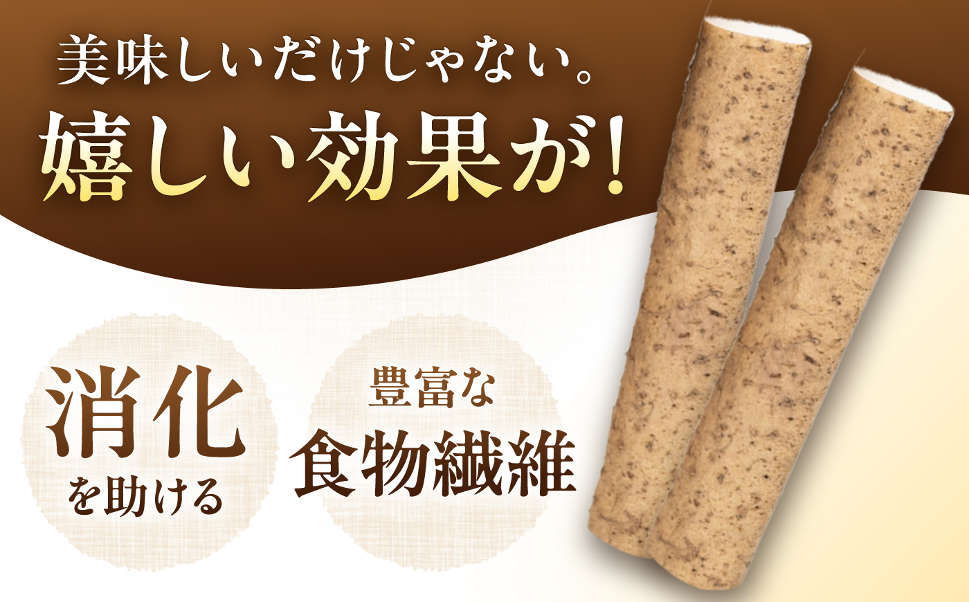 【定番人気】自然薯 中（800g）/ 自然薯 じねんじょ 贈答 / 恵那市 / 水戸屋 [AUFZ009]