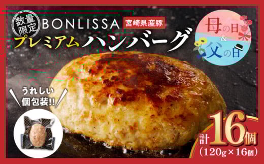 【母の日までにお届け】≪数量限定≫宮崎県産豚プレミアムハンバーグ(計16個) 肉 豚肉 加工品 惣菜 国産_T001-0111-ZO-MA