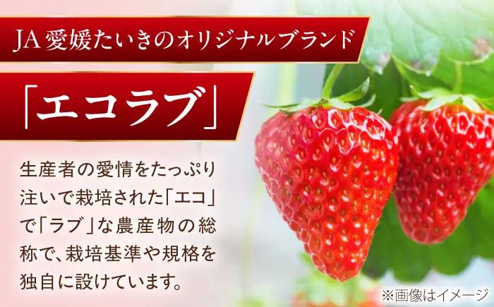 いちご 「紅ほっぺ」 2パック【株式会社フジ・アグリフーズ】BKAY001