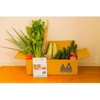 ふるさと納税 下妻市 農園自慢の情熱野菜セット(7品) |  | 03