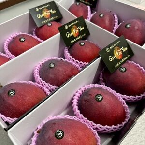 【2026年6月下旬から順次発送】マルトウマンゴーのプレミアム アップルマンゴー1kg【配送不可地域：離島】【1670278】