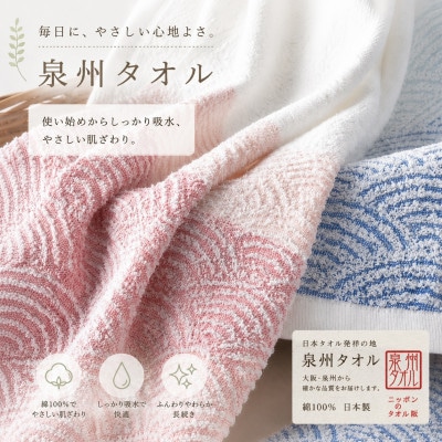 泉州タオル さざ波 フェイスタオル3枚セット【1753786】
