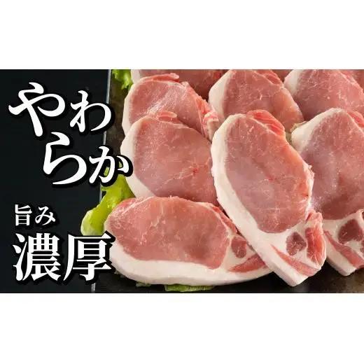 長崎県産豚 ロースとんかつ用計1kg (100g×5枚×2)