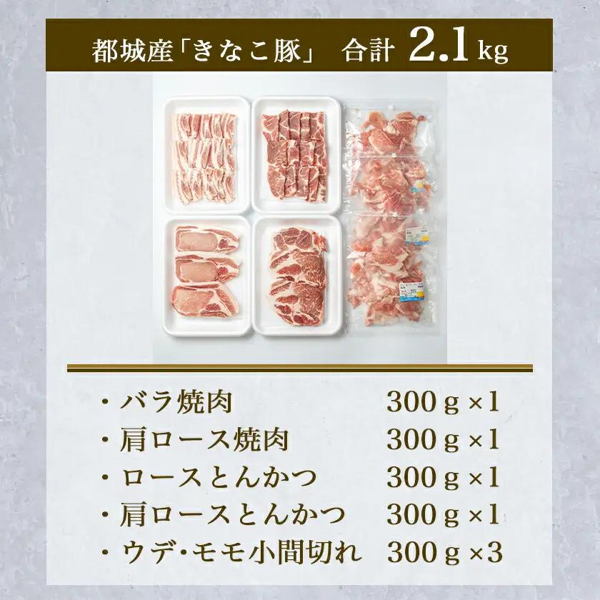 「きなこ豚」焼肉・とんかつセット 計2.1kg〔MJ-1204〕_(都城市) ブランド豚 豚カツ用 トンカツ用(ロース / 肩ロース) 焼き肉用 (豚バラ / 豚肩ロース) 切り落とし 小間切れ