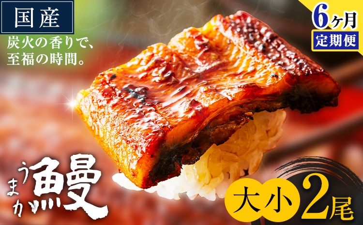 【6ヶ月定期便】うなぎ 大小 2尾  国産 鰻 真空パック おすすめ うなぎの蒲焼 《お申込み翌月から出荷》 ふるさとのうぜい 特上 簡易包装 ウナギ unagi 蒲焼 秋 冬 旬 配送時期 冷凍---mifune_lcl_1337_mo6---