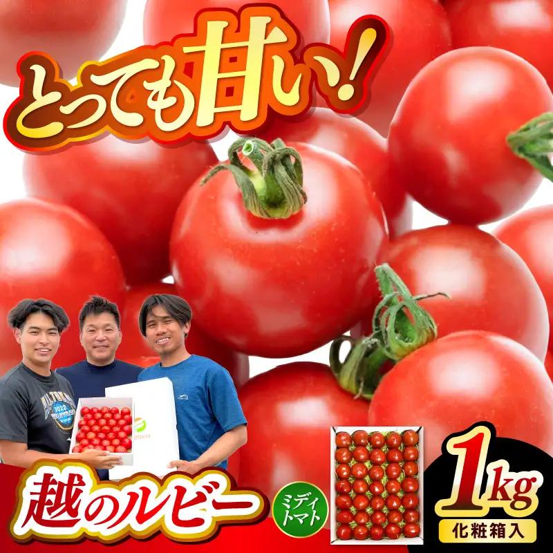 フルーツトマト 越のルビー 1kg 化粧箱入り 2026年10月上旬以降順次発送 とまと 野菜 [A-19104]