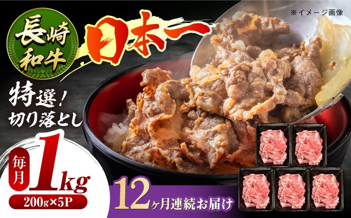 
            【12回定期便】長崎和牛 特選切り落とし A4-A5 約1kg（200g×5パック） 長与町/meat shop FUKU [ECS020] 切り落とし きりおとし 牛肉 1kg すきやき 国産 和牛 A4 A5 国産切り落とし すき焼き 冷凍 小分け 定期便 定期 ていきびん 12回
          