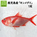 【ふるさと納税】鹿児島産キンメダイ1尾(1~1.2kg)