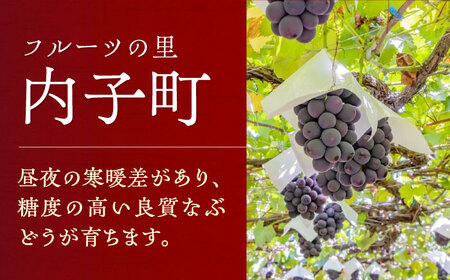 赤ワイン (ベリーA) 約720ml 1本 BKAG006 ワイン