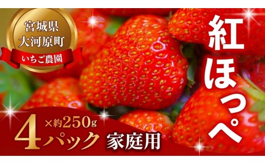 
                  【2027年度先行予約】大河原町のいちご 完熟いちご 4パック 果物 フルーツ 苺 紅ほっぺ かおり みずみずしい ジューシー 期間限定 季節限定 家庭用
                