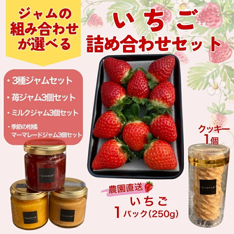 【ふるさと納税】いちご 苺 ジャム クッキー セット【選べるジャムの組み合わせ】イチゴジャム 無添加 手作り ミルクジャム 柑橘 マーマレード いちごのロシアンクッキー ギフト 数量限定 くぼなか農園 農園直送 愛媛 伊予市