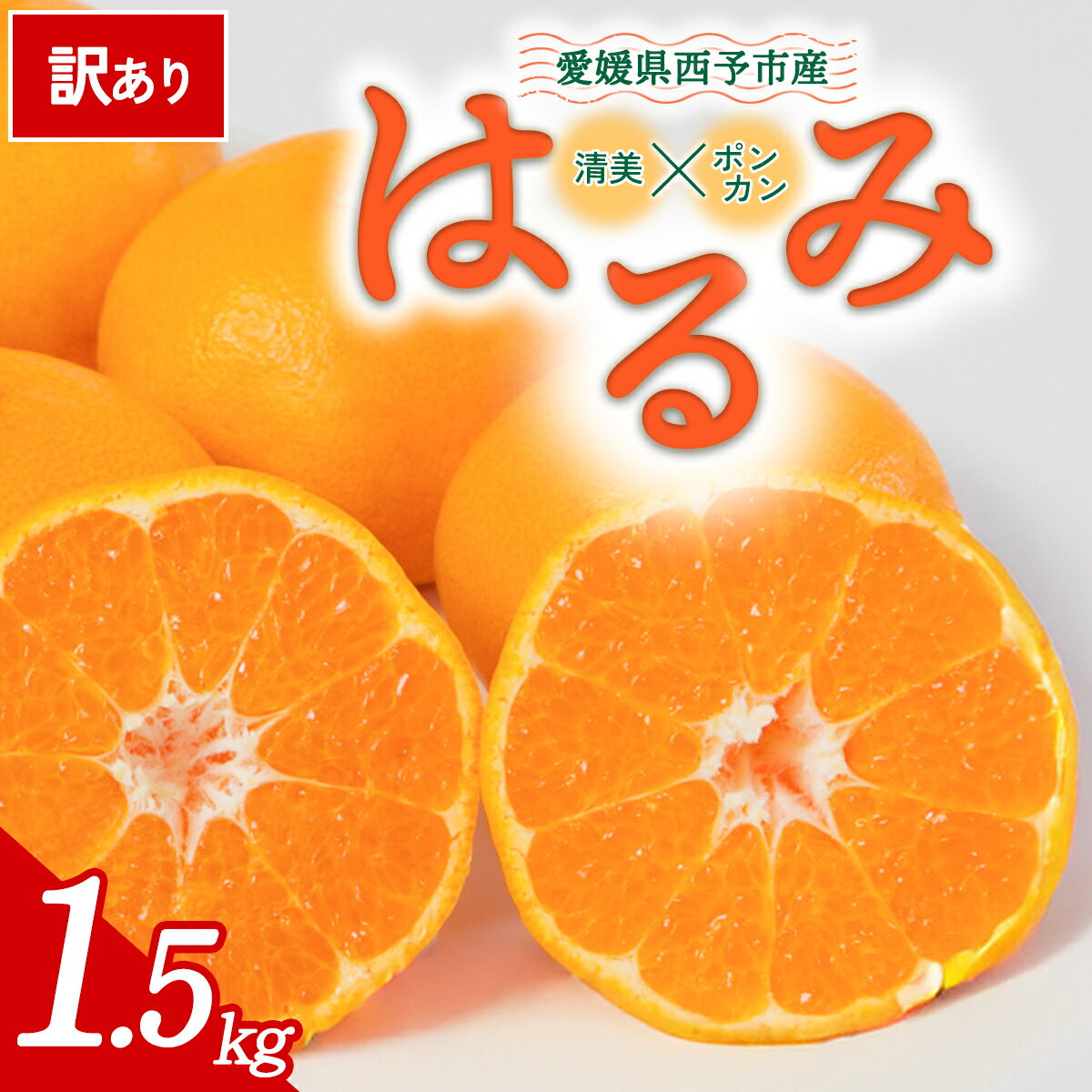 【ふるさと納税】【先行予約】＜訳あり 愛媛県産 はるみ 合計約1.5kg＞ 『2027年2月以降順次出荷予定』 溢れる果汁 フレッシュ ご家庭用 ご自宅 大粒 果肉 お試し わけあり 果物 柑橘 フルーツ オレンジ 国産 濃厚 産地直送 ミヤモトオレンジガーデン 愛媛県 西予市【常温】