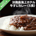 【ふるさと納税】淡路島海上ホテル　牛すじカレー　5食