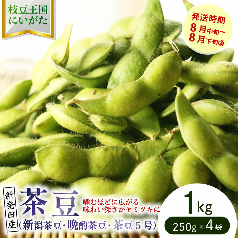 【ふるさと納税】 晩酌のお供におすすめ！ 茶豆 1kg 【 数量限定 1kg 茶豆 枝豆 先行予約 新潟産 ビール 株式会社せいだ 新潟県 新発田市 seida022 】