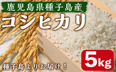 n359 ＜期間限定！＞種子島のお米！コシヒカリ(5kg) 国産 鹿児島県産 種子島 コシヒカリ こしひかり 米 お米 おこめ 白米 【なかたね農産】
