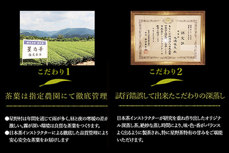 八女茶 煎茶ティーバッグ 計200パック (3g×100パック入り×2袋) 株式会社親和園《30日以内に出荷予定(土日祝除く)》福岡県 鞍手郡 鞍手町 お茶 緑茶 茶 八女星野茶 ティーパック ティー
