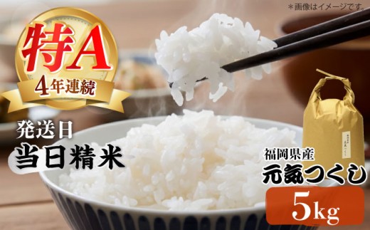 米 【特A】「元気つくし」 5kg×1袋 [5kg] [白米] 《築上町》【株式会社ベネフィス】 [ABDF201]  令和7年産 米 白米 精米 ご飯 ごはん こめ コメ 23000円