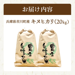 029YK01N.新米 令和6年産 市川町産キヌヒカリ（屋形のお米）精米20kg（10kg×2袋） / キヌヒカリ 精米 お米 ご飯 ごはん 銀の馬車道 屋形地区