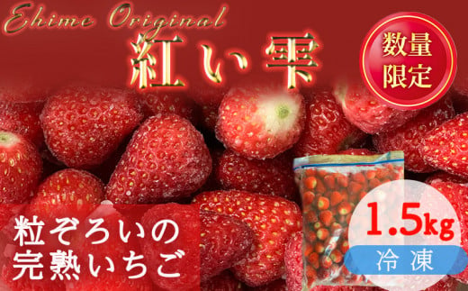 【2025年3月発送】 愛媛県オリジナル品種 紅い雫の冷凍イチゴ 1.5kg いちご 冷凍 甘い苺 イチゴ 苺 ギフト ふるさと納税イチゴ アイスクリーム いちご ジャム スムージー ヨーグルト ストロベリー イチゴ 冷凍いちご 新鮮 果実 果汁  いちご園 すとろべりー 渡辺農園のイチゴ プレゼント 贈答 ふるさと納税苺 数量限定 お菓子作り 完熟いちご 愛媛県オリジナル品種の苺 冷凍苺