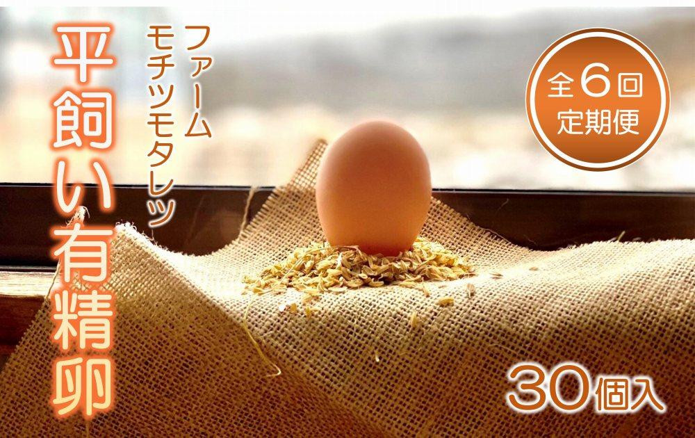 
                  【6回定期便】ファームモチツモタレツの平飼い有精卵（30個入） 【 卵 たまご タマゴ 玉子 卵焼き オムレツ 卵かけご飯 ゆで卵 鶏卵 卵黄 生卵 平飼い 長沼町 北海道 】
                